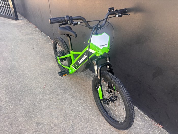 2025 Kawasaki Kawasaki 2025 ELEKTRODE 20 KSK050ASFNN GREEN