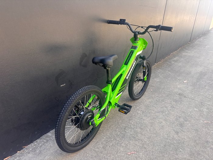 2025 Kawasaki Kawasaki 2025 ELEKTRODE 20 KSK050ASFNN GREEN