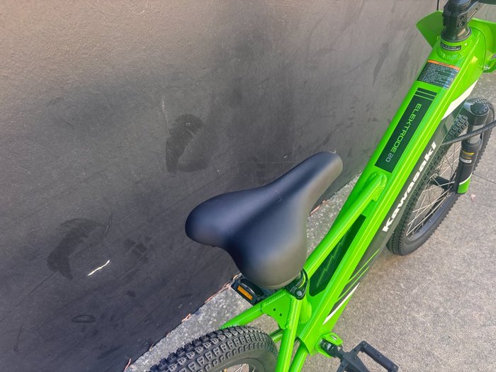 2025 Kawasaki Kawasaki 2025 ELEKTRODE 20 KSK050ASFNN GREEN