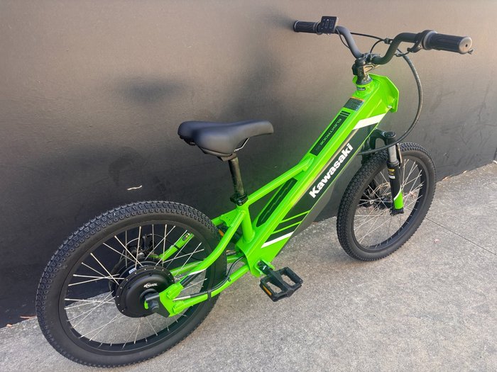2025 Kawasaki Kawasaki 2025 ELEKTRODE 20 KSK050ASFNN GREEN