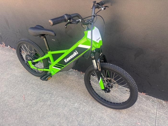 2025 Kawasaki Kawasaki 2025 ELEKTRODE 20 KSK050ASFNN GREEN