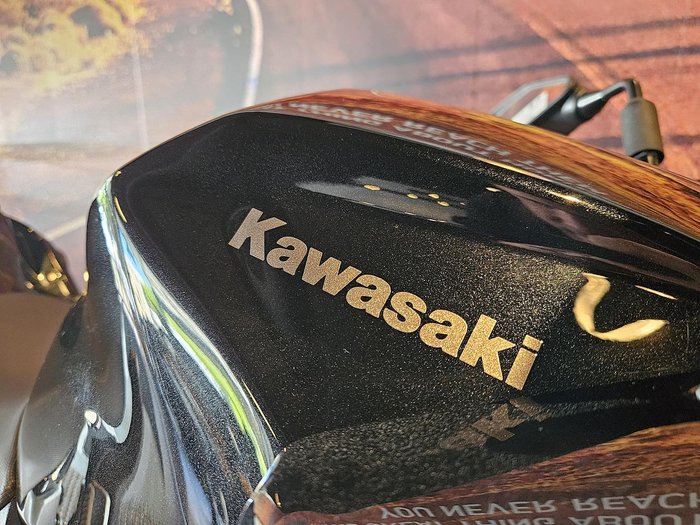 2020 Kawasaki Z400 Z 400 Grey