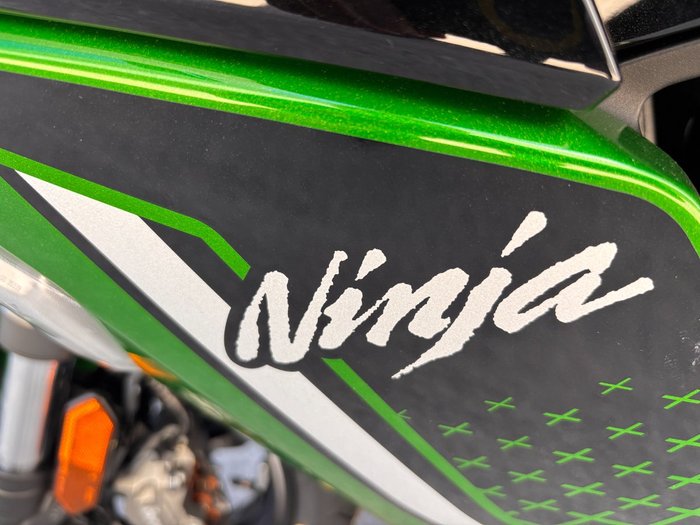 2026 Kawasaki 2026 KAWASAKI 1100CC Ninja 1100SX GREEN