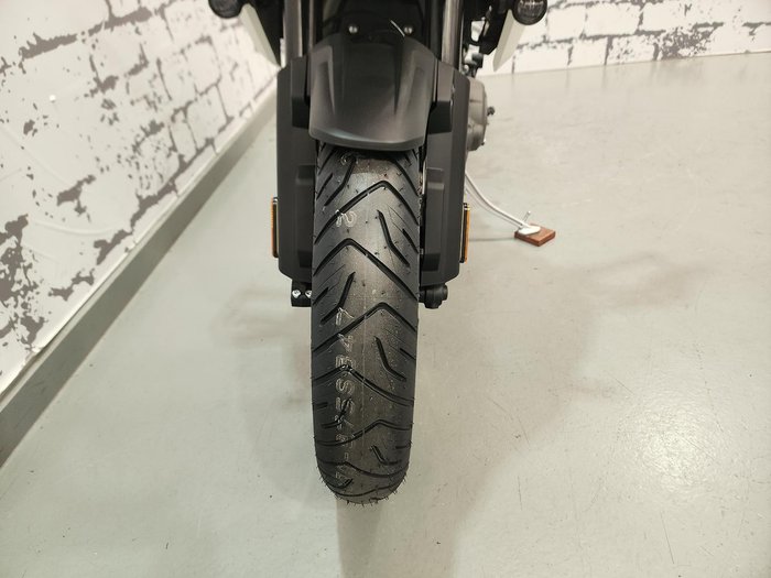 2025 Triumph Tiger 1200 Alpine Edition Tiger White