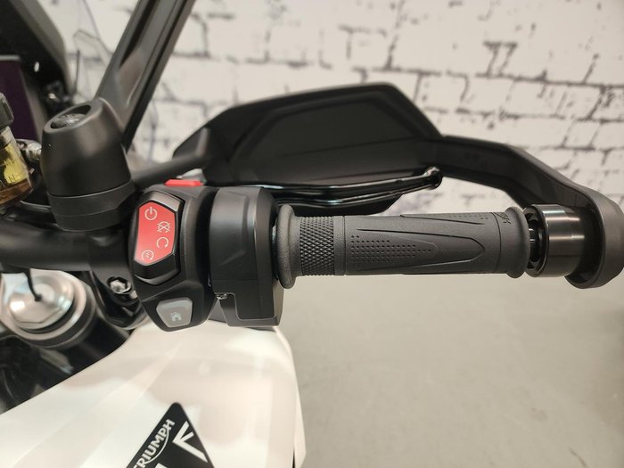 2025 Triumph Tiger 1200 Alpine Edition Tiger White