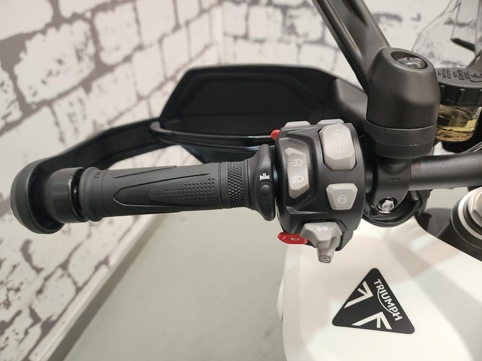 2025 Triumph Tiger 1200 Alpine Edition Tiger White