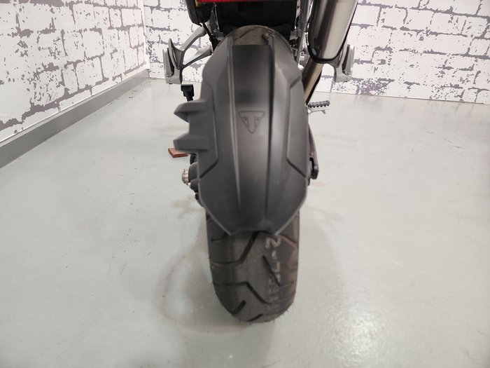 2025 Triumph Tiger 1200 Alpine Edition Tiger White