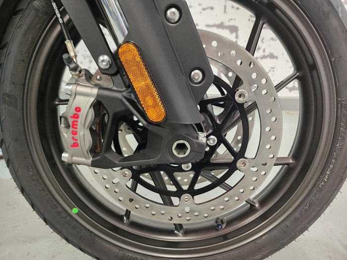 2025 Triumph Tiger 1200 Alpine Edition Tiger White