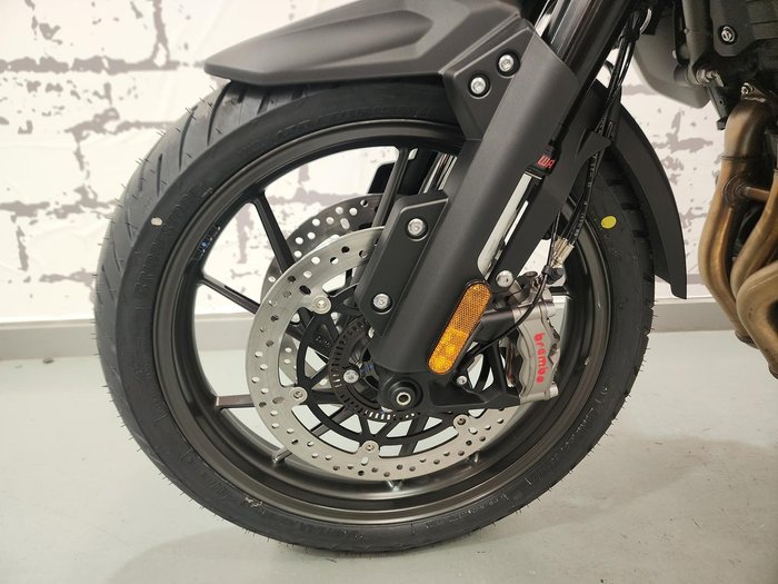 2025 Triumph Tiger 1200 Alpine Edition Tiger White