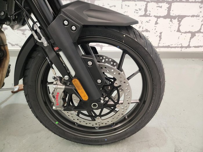 2025 Triumph Tiger 1200 Alpine Edition Tiger White