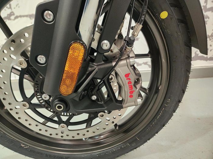 2025 Triumph Tiger 1200 Alpine Edition Tiger White