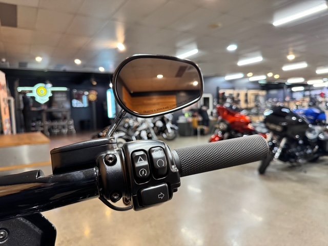 2022 HARLEY-DAVIDSON FXLRS LOW RIDER S (117)