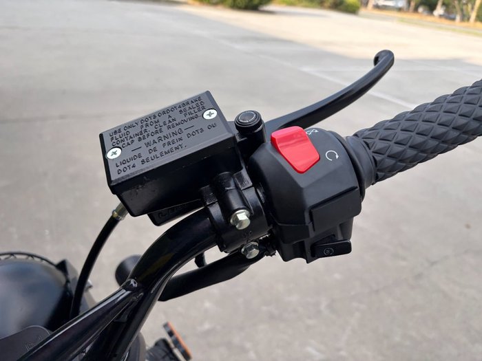 2023 MUTT HILTS GREEN 250 Green