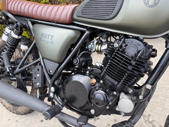 2023 MUTT HILTS GREEN 250 Green