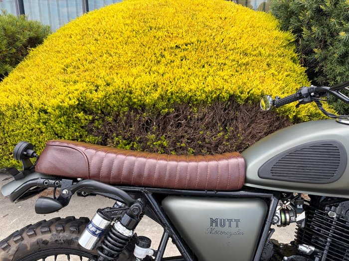 2023 MUTT HILTS GREEN 250 Green