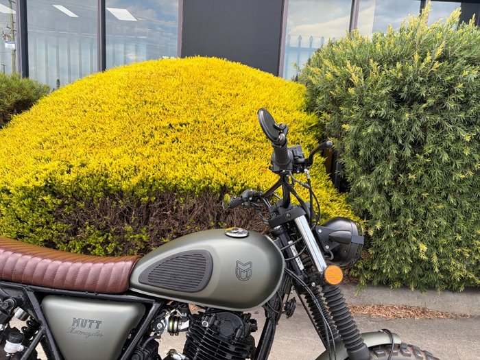 2023 MUTT HILTS GREEN 250 Green