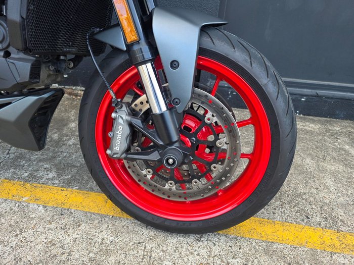 2022 DUCATI MONSTER + GREY