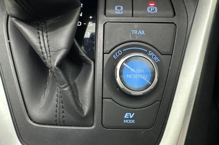 2019 Toyota RAV4 Cruiser