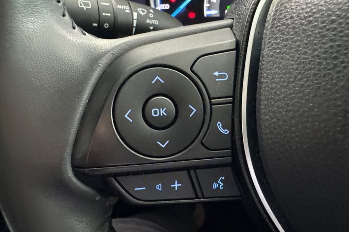 2019 Toyota RAV4 Cruiser