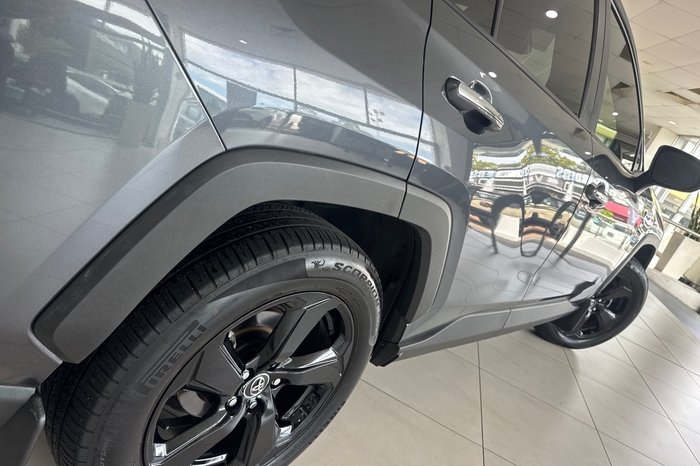 2019 Toyota RAV4 Cruiser