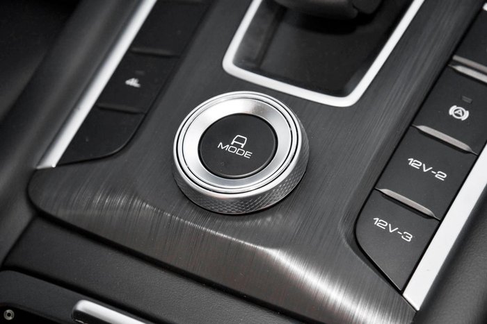 2025 GWM Cannon Premium