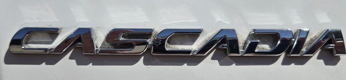 2021 Freightliner Cascadia WHITE