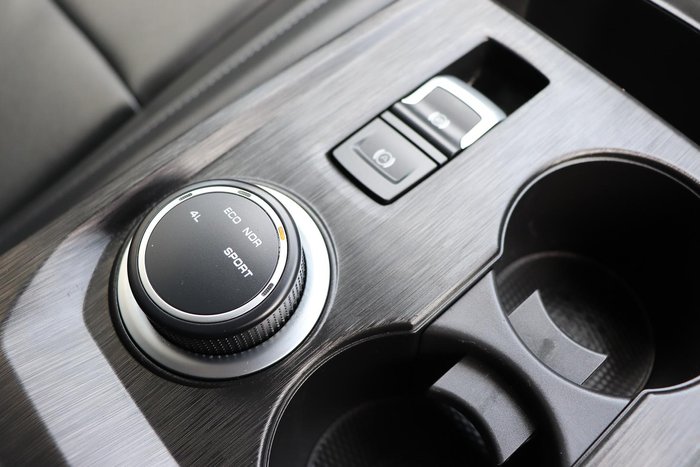 2025 GWM Cannon Premium