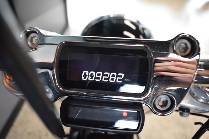 2021 HARLEY-DAVIDSON FXST SOFTAIL STANDARD (107)