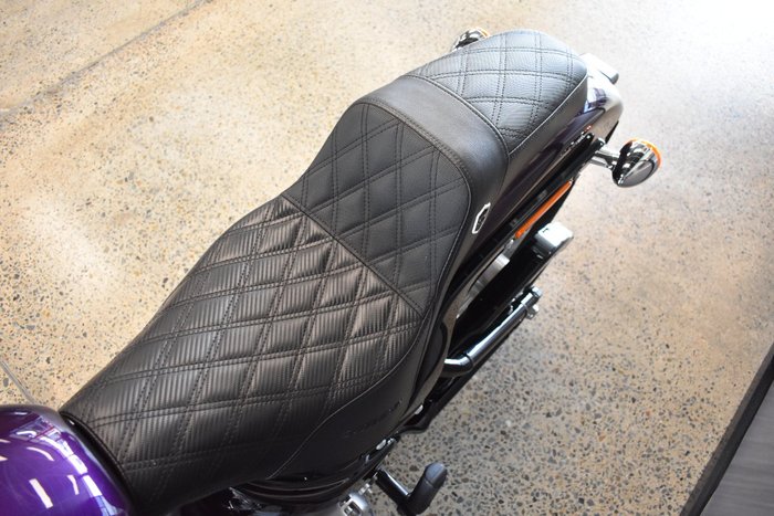 2021 HARLEY-DAVIDSON FXST SOFTAIL STANDARD (107)