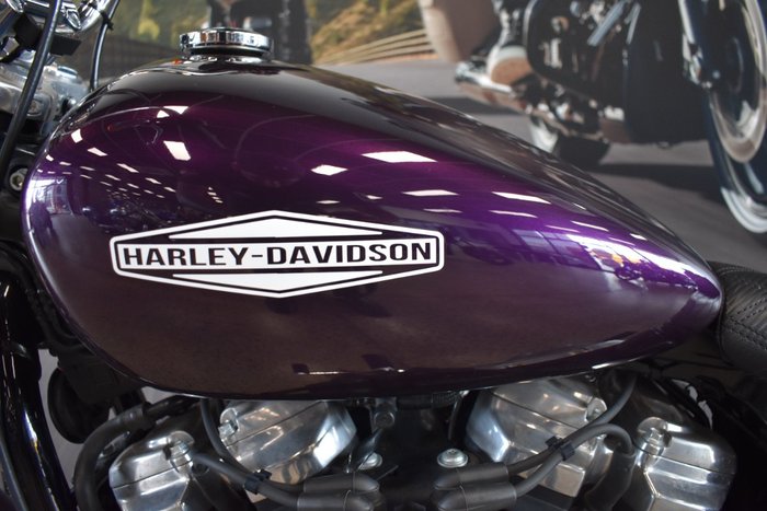 2021 HARLEY-DAVIDSON FXST SOFTAIL STANDARD (107)