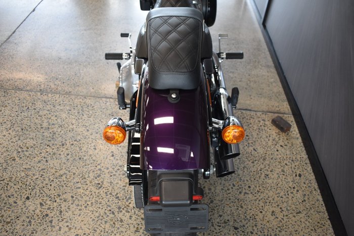 2021 HARLEY-DAVIDSON FXST SOFTAIL STANDARD (107)