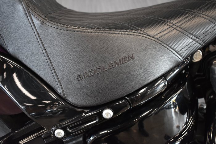 2021 HARLEY-DAVIDSON FXST SOFTAIL STANDARD (107)