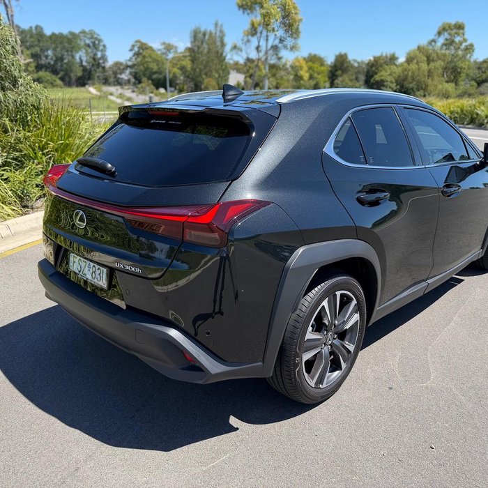 2025 Lexus UX 300h Sport Luxury