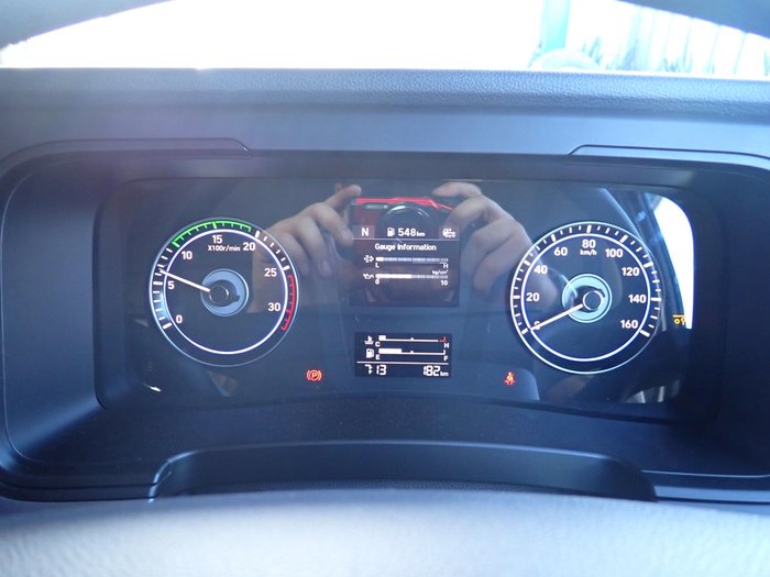 2025 HYUNDAI PAVISE D222