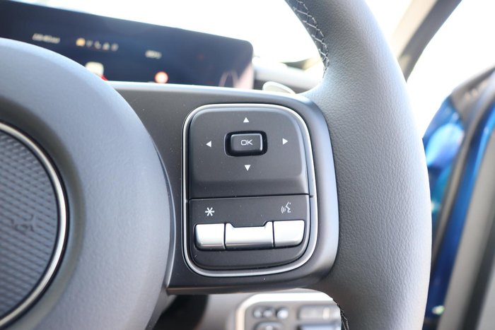 2025 GWM Cannon Premium