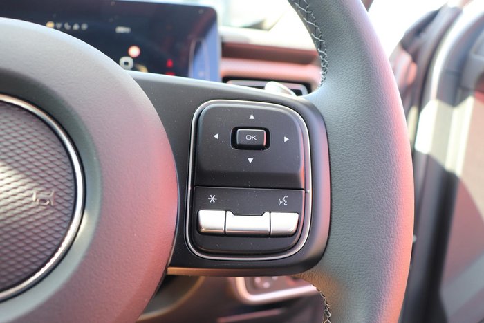 2025 GWM Cannon Premium