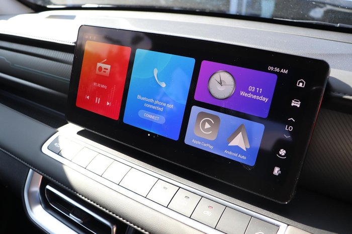 2025 GWM Cannon Premium