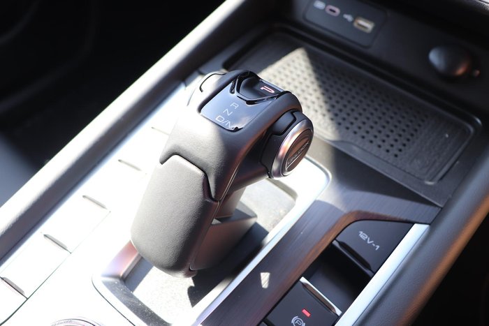 2025 GWM Cannon Premium