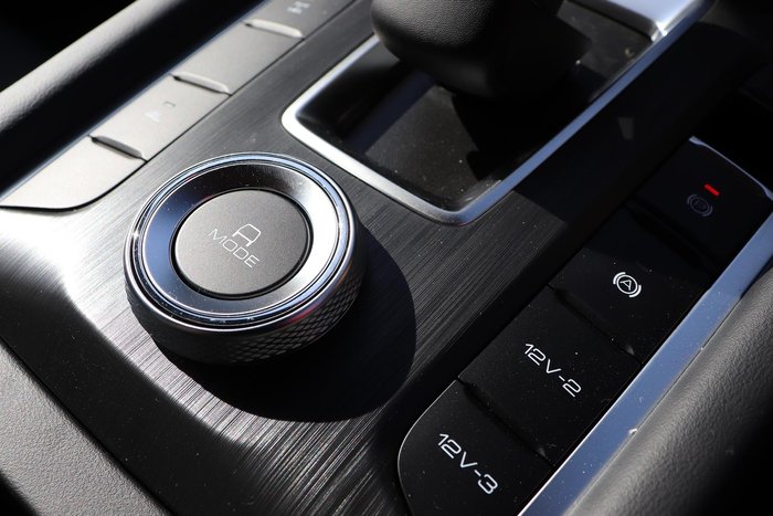 2025 GWM Cannon Premium