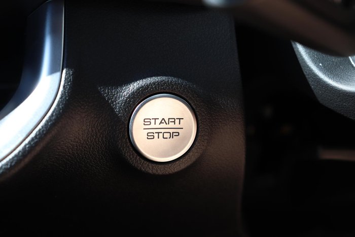 2025 GWM Cannon Premium