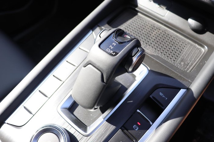 2025 GWM Cannon Premium