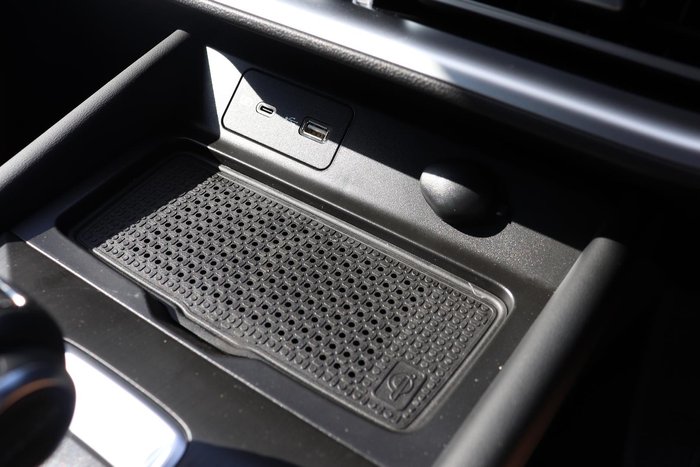 2025 GWM Cannon Premium