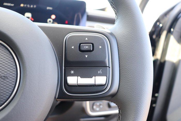 2025 GWM Cannon Premium