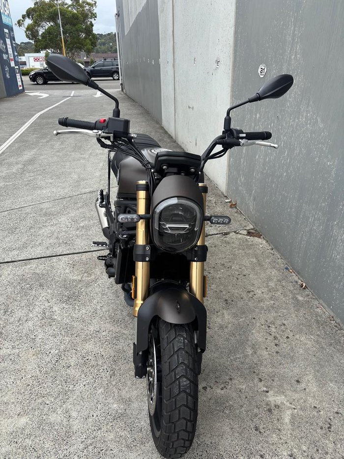 2022 Benelli Leoncino 800