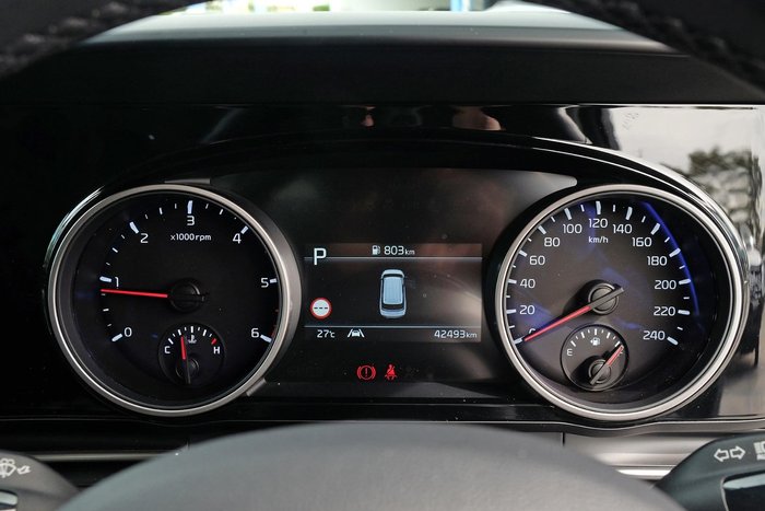 2021 Kia Carnival Platinum KA4 MY21 Panthera Metal