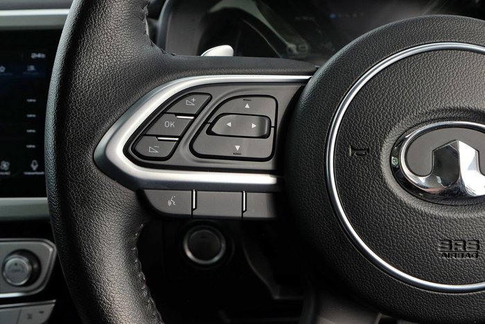 2022 GWM Ute Cannon-X