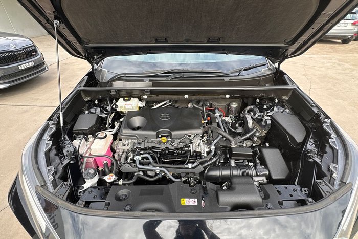 2020 Toyota RAV4 Cruiser