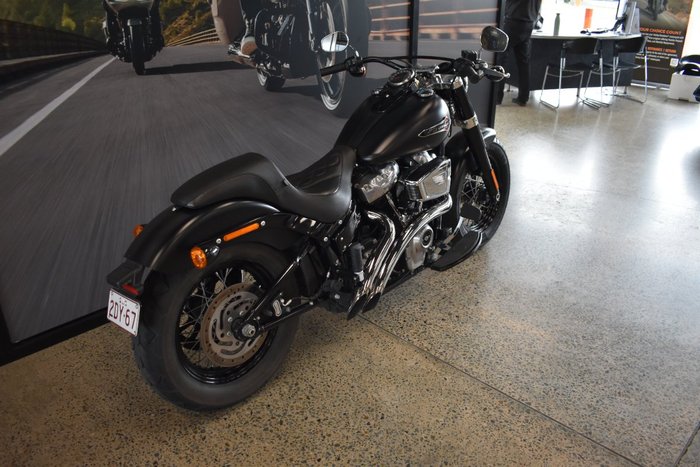 2018 HARLEY-DAVIDSON FLSL SLIM (107)