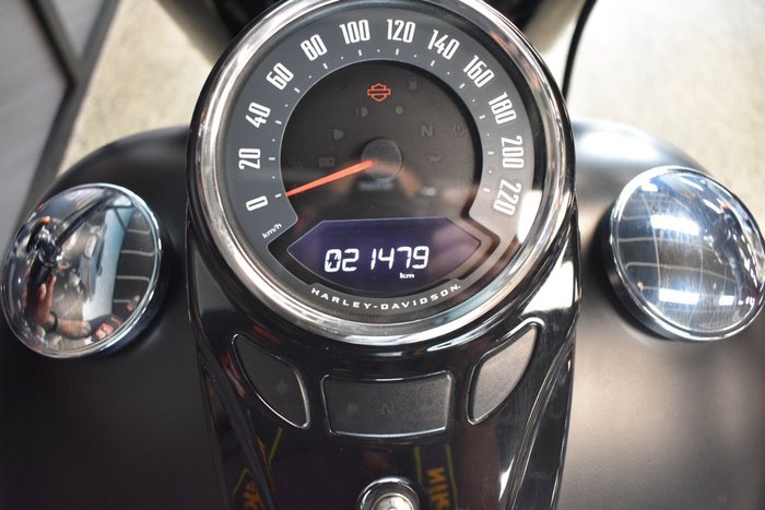 2018 HARLEY-DAVIDSON FLSL SLIM (107)