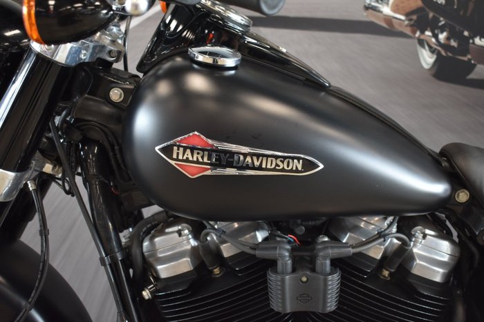 2018 HARLEY-DAVIDSON FLSL SLIM (107)